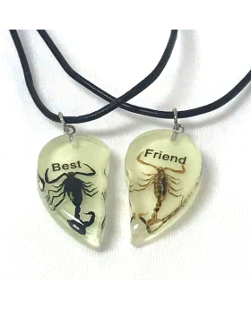 Scorpion Best Friend NL-Glow in the Dark