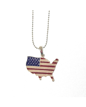 USA Map Flag NL