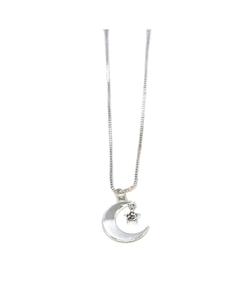 Silver Moon and Star necklace