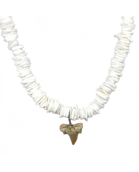 White irregular shaped shell with Shark Tooth necklace
