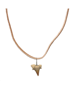 Brown suede cord with Shark Tooth Necklace