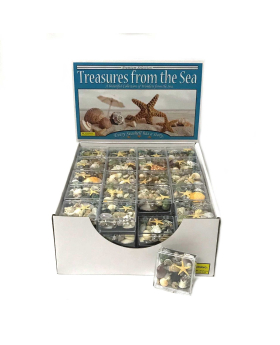 Boxed Shells display-4 dz unit