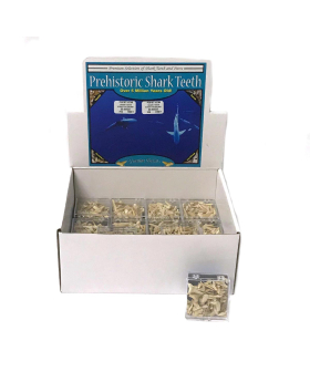 Shark scrap pack