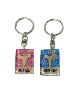 Rectangle shark tooth keychain with namedrop