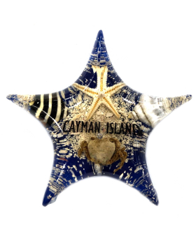 Starfish resin magnet with namedrop