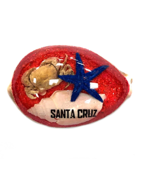Shell &r resin paperweight with namedrop