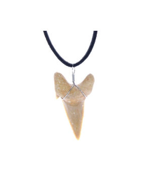Shark Tooth Leather Necklace