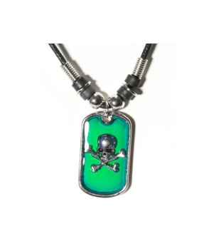 Skull Crossbones Dog Tag Necklace