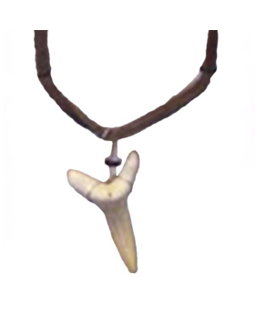 Shark Tooth Necklace