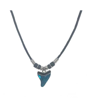 Paua Shark Tooth on black cord necklace