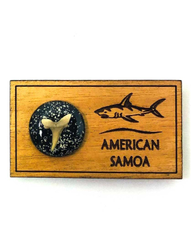 Wood & resin magnet with shark tooth