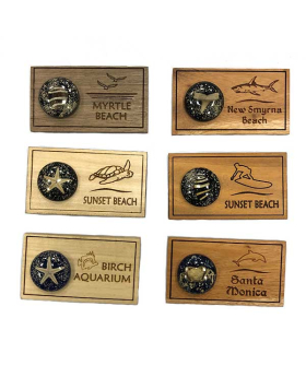 Assorted Sealife and Shark Tooth in resin on Wood Magnet
