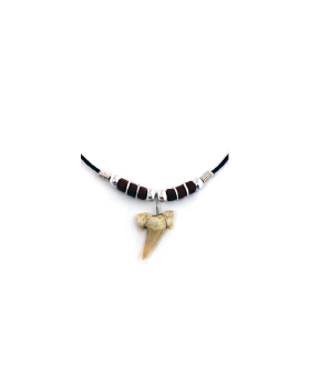 Shark Tooth Necklace with Beads