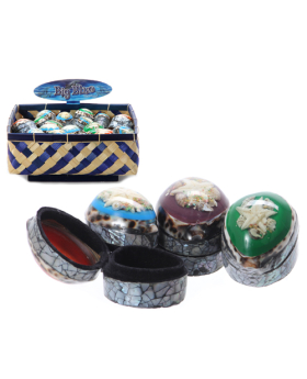 Assorted Sea Life Resin Gift Box