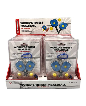 Tiny Pickleball set