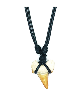 Large wrapped Shark Tooth Necklace on adjustable Leather cord