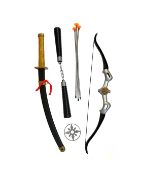 Ninja Playset