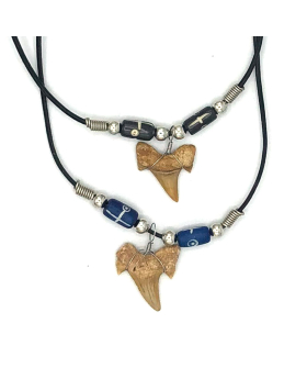 Shark tooth with carved beads Necklace