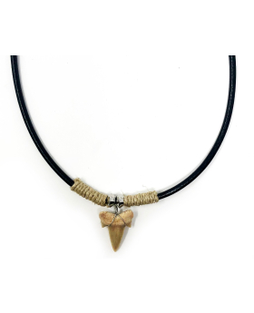 Small Shark Tooth on wrapped cord Necklace