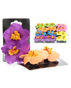 Assorted 2in Hawaiian Flower Hair Clip