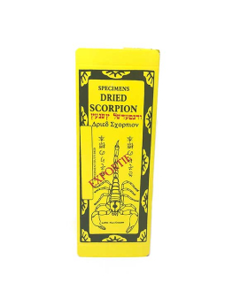 Scorpion Surprise