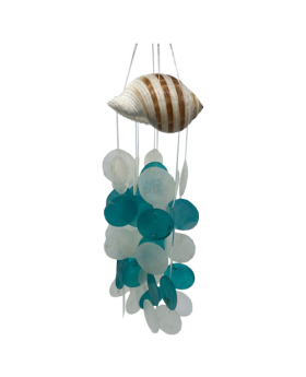 Shell Top Turquoise White Cadiz Chime