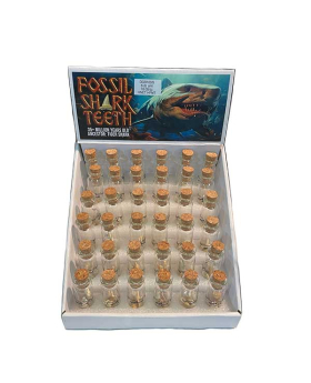 Shrk Teeth in Bottle