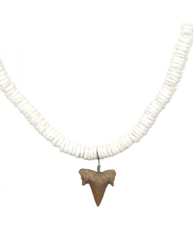 White rounded shell necklace with shark tooth