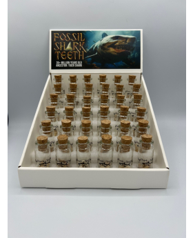 Shark Teeth in a Bottle